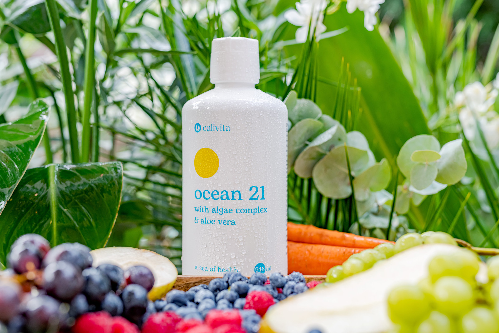 Ocean 21, 946ml - imagine 6